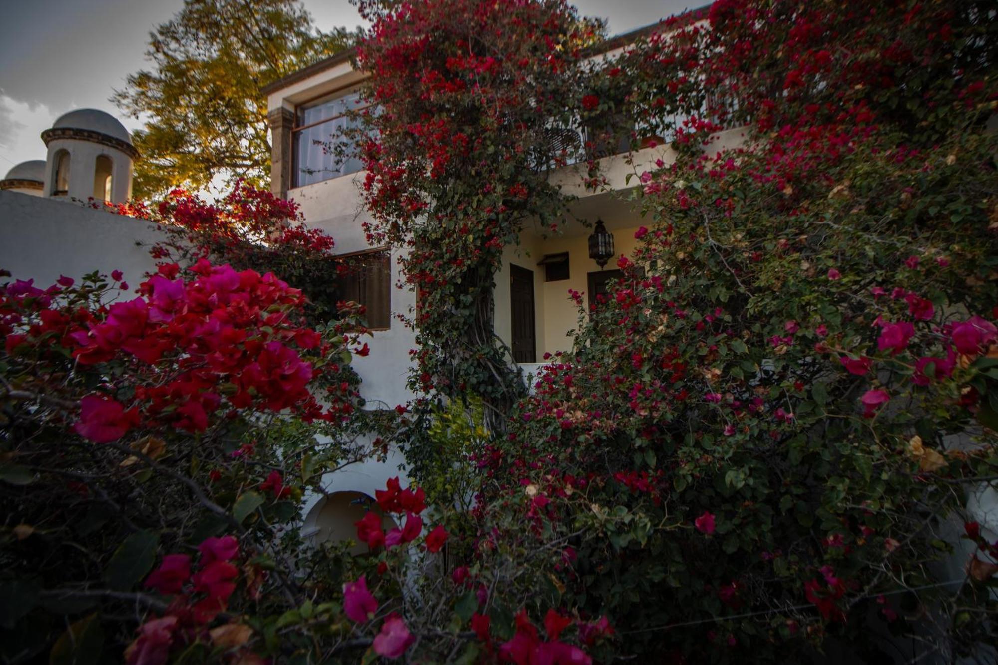 Hotel Casa San Miguel 산미겔데아옌데 외부 사진