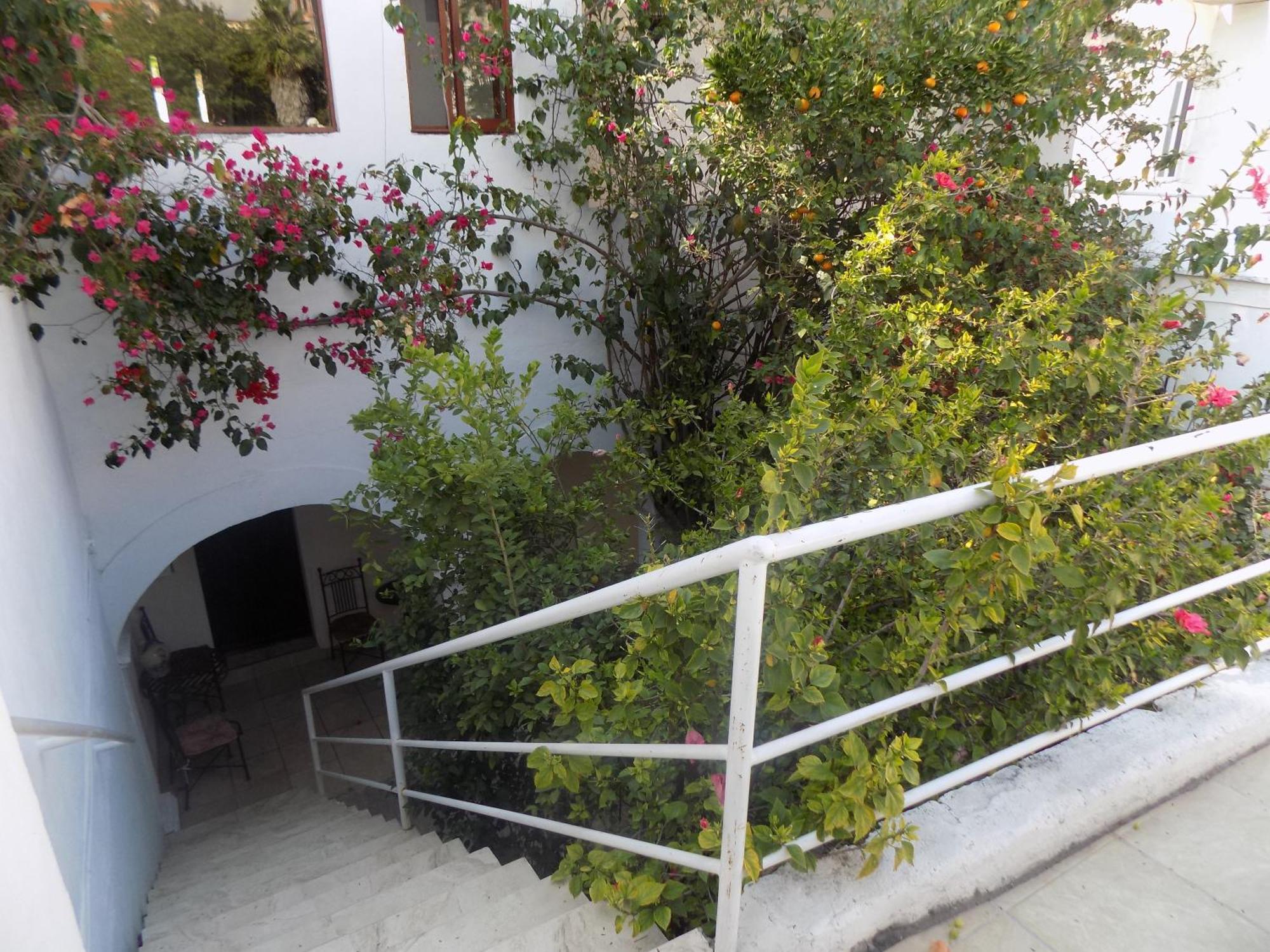 Hotel Casa San Miguel 산미겔데아옌데 외부 사진