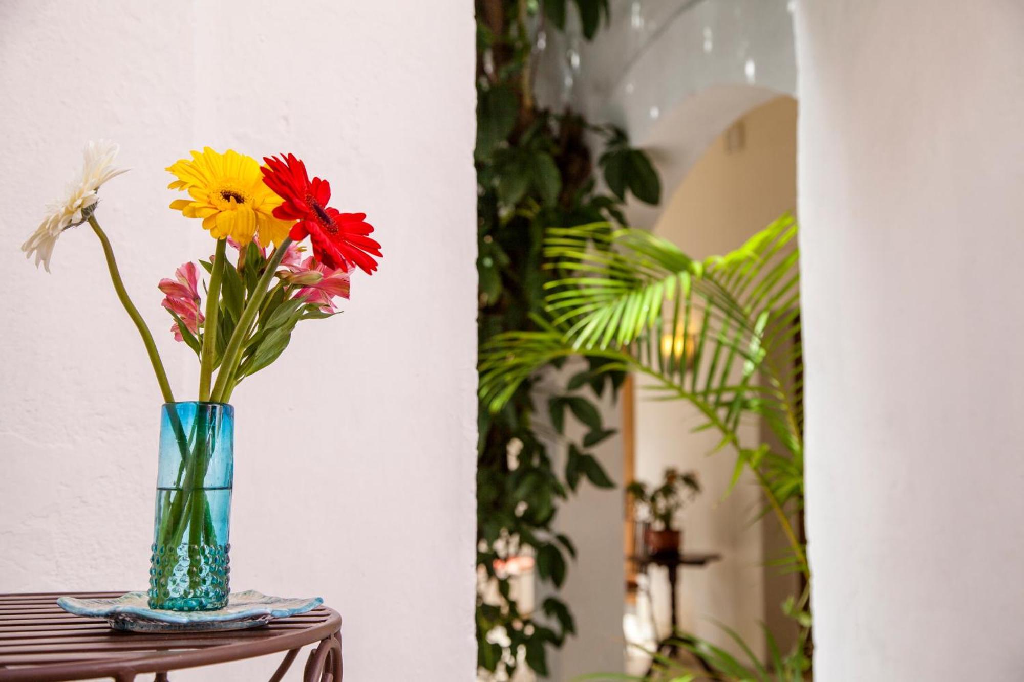 Hotel Casa San Miguel 산미겔데아옌데 외부 사진